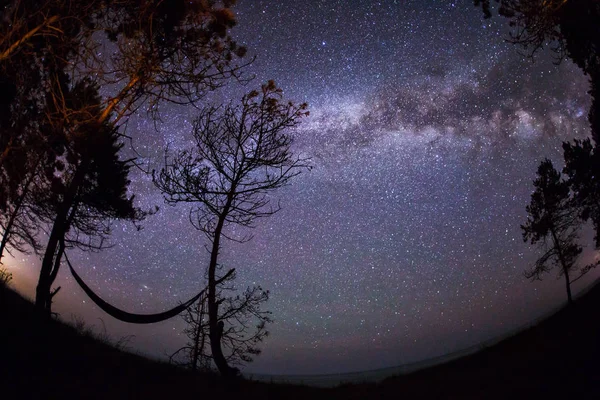 与美丽的银河系和星星在坝树下的吊床 — 图库照片