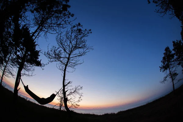 Homme dormant dans la nature sur hamac sous les arbres avec belle — Photo