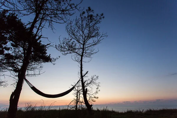Hamaca bajo los árboles con hermoso amanecer en el fondo — Foto de Stock