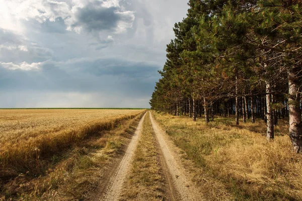 Estrada lateral do país com meia floresta e meia nuvens de tempestade — Fotografia de Stock