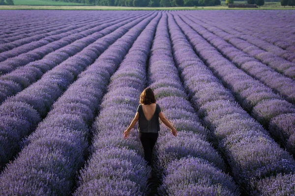 Landscape with happy and joyful woman in a lavander field — Stock Photo, Image