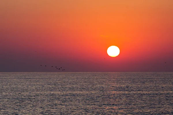 Lever de soleil sur une mer avec des oiseaux au-dessus de l'eau — Photo