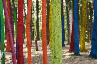 Bir ormandaki bir protesto farklı renklerle boyalı