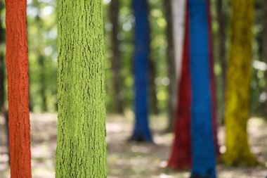 Bir ormandaki bir protesto farklı renklerle boyalı