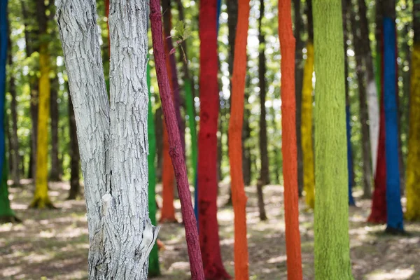 Bir ormandaki bir protesto farklı renklerle boyalı