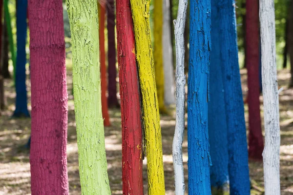 Trær i skog malt med forskjellige farger som protest mot – stockfoto