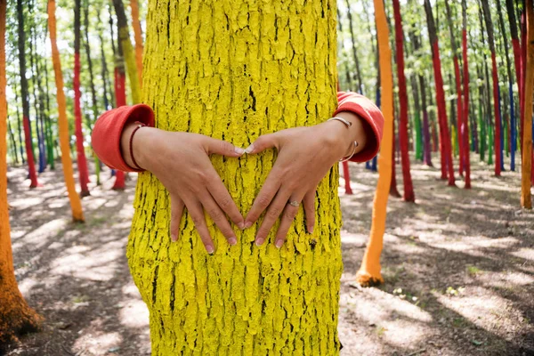 Woman embrassing a colourful tree with shape of heart from hand, — Stock Photo, Image