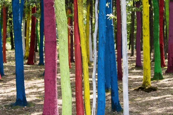 Árboles en un bosque pintado con diferentes colores como protesta de — Foto de Stock