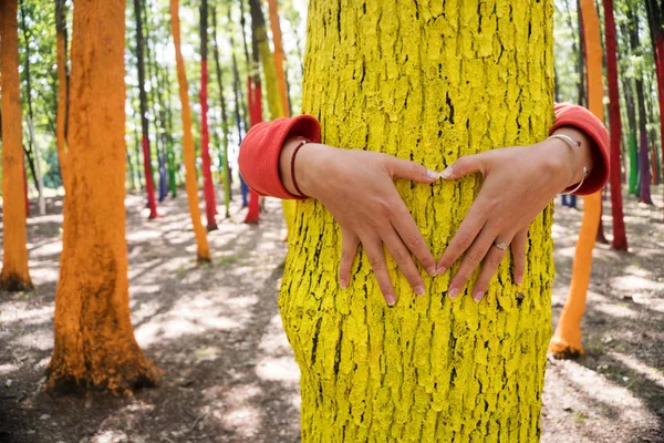 Woman embrassing a colourful tree with shape of heart from hand, — Stock Photo, Image