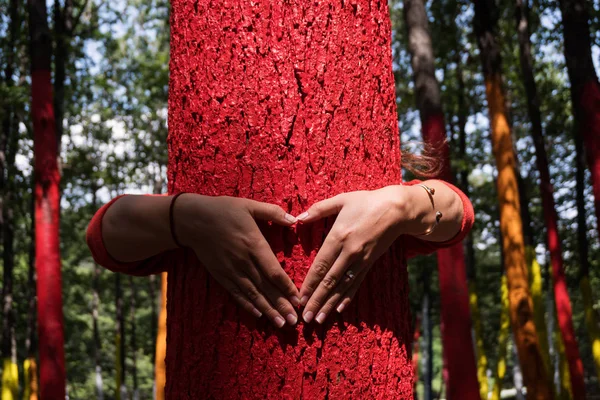Женщина обнимает красочное дерево с очертанием сердца от руки , — стоковое фото