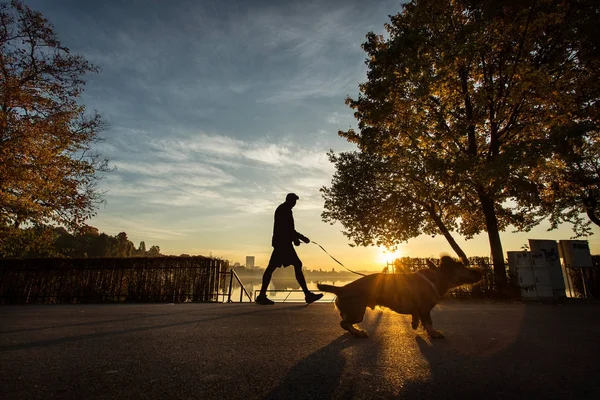 Hombre caminando con su perro en un parque al amanecer con hermosa aut —  Fotos de Stock