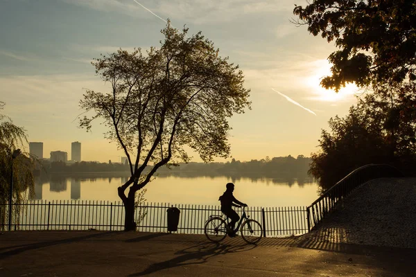 Muž se na kole v parku za úsvitu s krásné podzimní barvy a — Stock fotografie