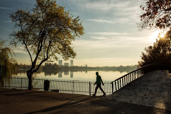 Muž v parku za úsvitu s krásné podzimní barvy — Stock fotografie