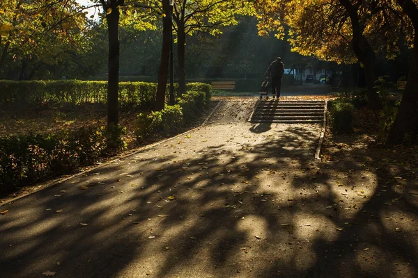 Starý muž v pořádku v parku v podzimní sezóně s colourf — Stock fotografie