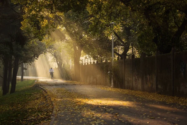 Homem de bicicleta em um parque com belos raios de luz na manhã de outono — Fotografia de Stock