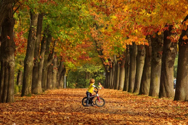 Child playing on a bicycle in a beautfiul alley full of colourfu — Stock Photo, Image