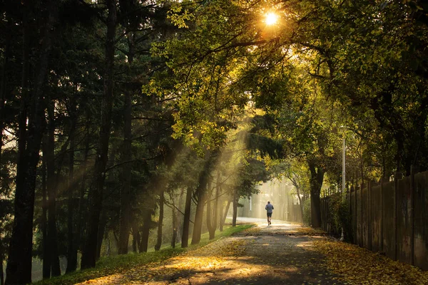 Homem correndo em um parque com belos raios de luz no outono mor — Fotografia de Stock