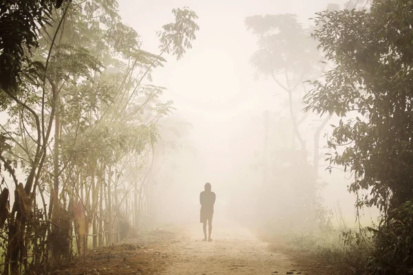 Silhouet Van Een Man Een Mistige Ochtend Chitwan National Park — Stockfoto