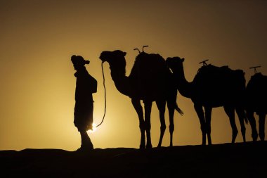 Çöl Sahra, Moroc gün doğumunda bir deve kervan Siluet