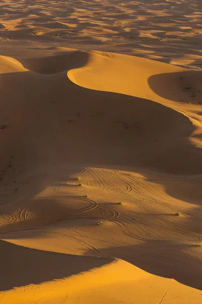 Gurun Sahara dengan garis indah dan warna saat matahari terbit. Merzou — Stok Foto