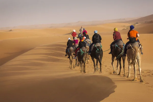 Καραβάνι με καμήλες στο επιδόρπιο της Σαχάρας με όμορφους αμμόλοφους σε — Φωτογραφία Αρχείου
