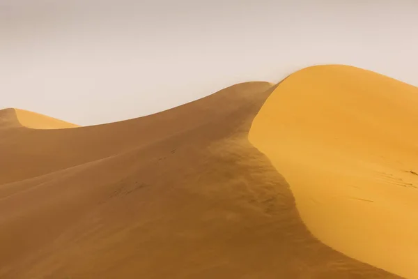Sahara del desierto con hermosas líneas y colores al amanecer. Merzou. —  Fotos de Stock