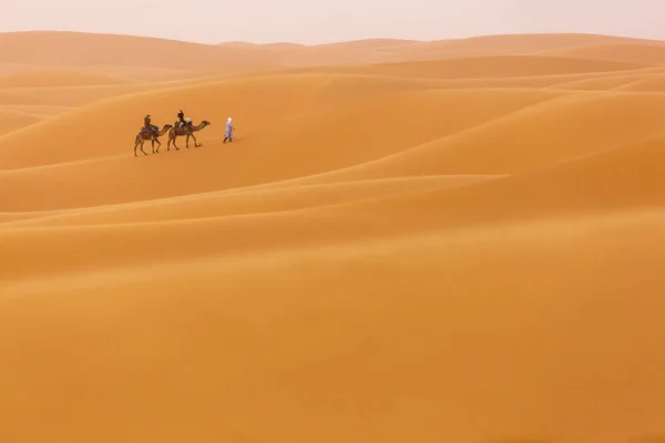 Camels karavan v dezertu Sahary s krásnými dunami v — Stock fotografie