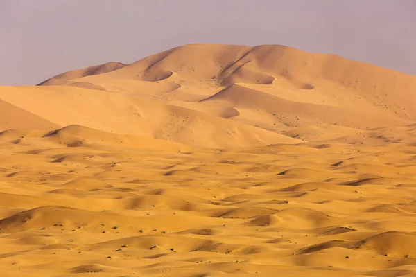 Desert Sahara Beautiful Lines Colors Sunrise Merzouga Morocco — Stock Photo, Image