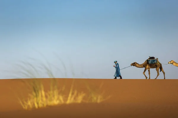 バック グラウンドで美しい砂丘とラクダ キャラバンのサハラ砂漠のデザート モロッコ — ストック写真