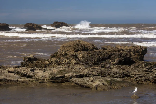 Big Waves Sea Blue Background Essaouira Morocco — Stock Photo, Image