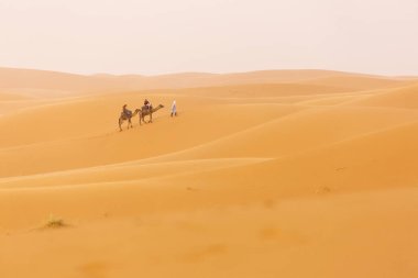 Arka planda güzel kumulları ile deve karavan Sahara tatlı olarak. Fas