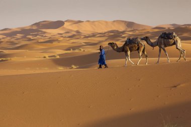 Arka planda güzel kumulları ile deve karavan Sahara tatlı olarak. Fas