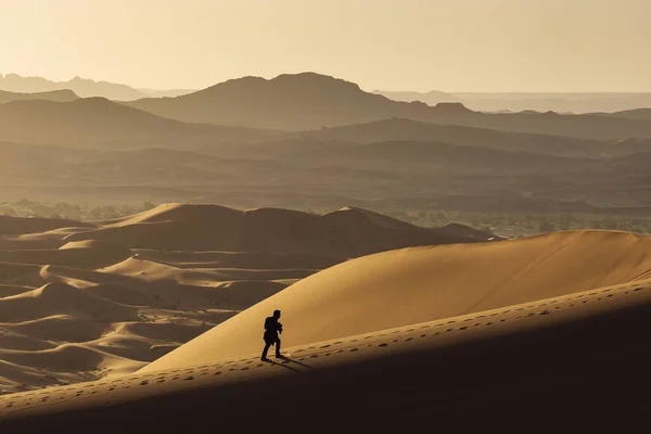 Человек Идет Дюнам Пустыни Сахара Красивыми Линиями Цветами Восходе Солнца — стоковое фото
