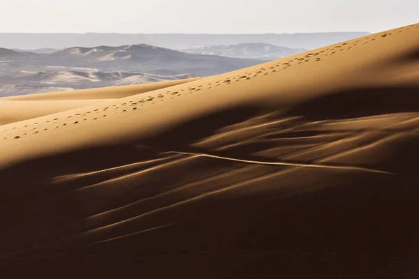 Wüste Sahara Mit Schönen Linien Und Farben Bei Sonnenaufgang Merzouga — Stockfoto