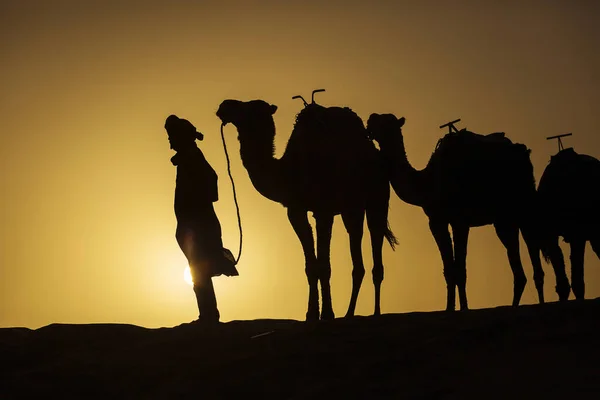 Silhouette Una Carovana Cammelli All Alba Nel Deserto Sahara Marocco — Foto Stock