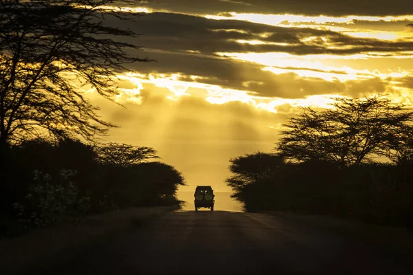 Safari Sur Une Route Coucher Soleil Tanzanie — Photo