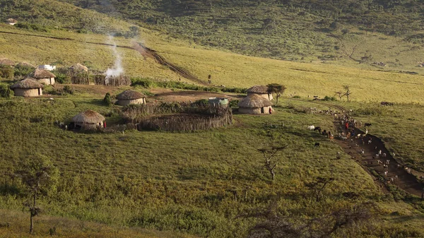 Villaggio Tradizionale Dei Masai Nel Parco Nazionale Ngorongoro Tanzania — Foto Stock