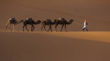 Arka planda güzel kumulları ile deve karavan Sahara tatlı olarak. Fas