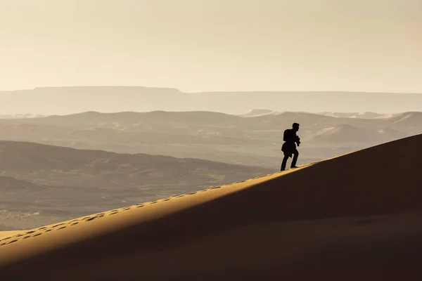 Gün Doğumunda Güzel Çizgiler Renklerle Çöl Sahra Kumullarında Yürüyen Adam — Stok fotoğraf