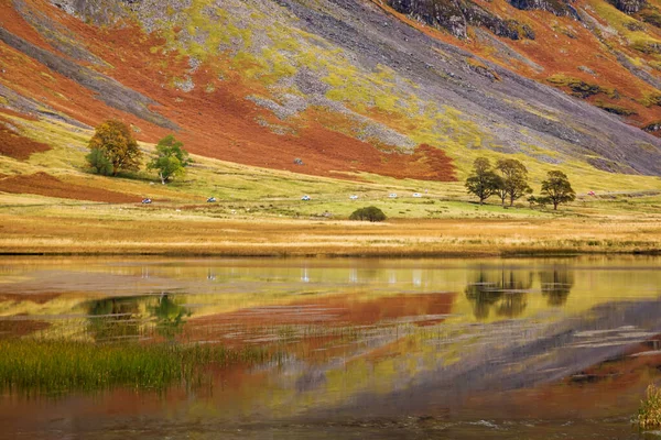 イギリス スコットランド ハイランドの秋の風景 美しい — ストック写真