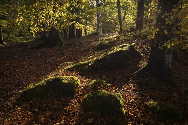 Jesienny Krajobraz Highlands Szkocja Wielka Brytania Piękna — Zdjęcie stockowe