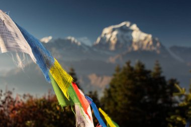 Himalaya Dağı, Nepal 'de günbatımında Dhaulagiri zirvesi olan Bhuddizm bayrakları.