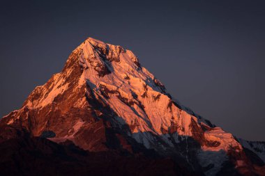 Budist bayraklarıyla Poon Hill 'den gün batımında Annapurna' nın güneyine bakıyor. Himalaya Dağları, Nepal