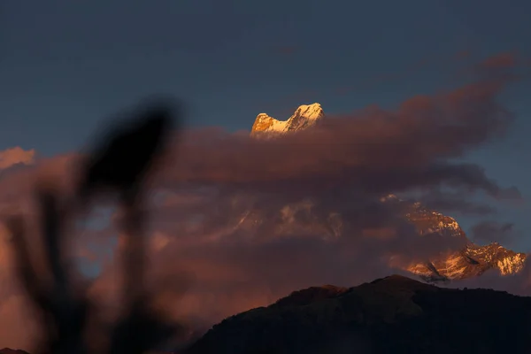 Kleiner Vogel Auf Holz Mit Machapuchare Fischschwanzspitze Hintergrund Himalaya Gebirge — Stockfoto