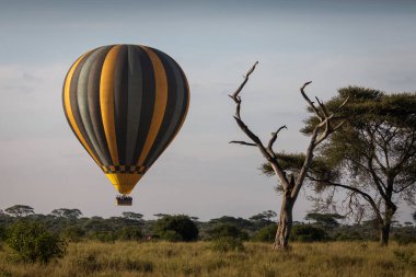 Serengeti Ulusal Parkı, Tanzanya 'da safari sırasında savana üzerinde balon. Afrika 'nın vahşi doğası
