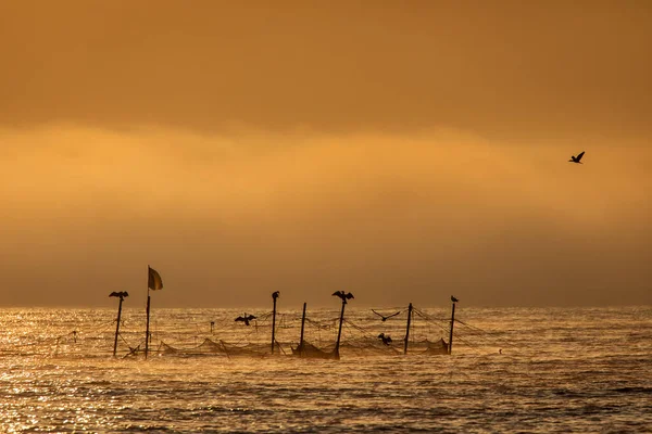 Fishing Nets Sea Sunrise Yellow Light Fog Background — Stock Photo, Image