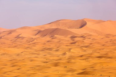 Sahara çöl güzel çizgiler ve renkler ile güneş doğarken. Merzouga, Fas