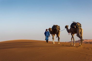 Arka planda güzel kumulları ile deve karavan Sahara tatlı olarak. Fas