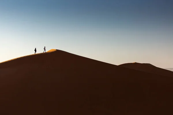 Man Walking Dunes Desert Sahara Beautiful Lines Colors Sunrise Merzouga — Stock Photo, Image