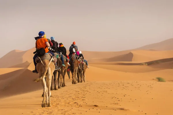 Caravana Camelos Sobremesa Saara Com Belas Dunas Fundo Marrocos — Fotografia de Stock